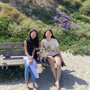 Meet your Posher, Hay